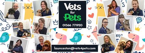 telephone number for vets4pets|Vets4Pets Launceston .